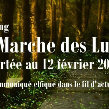 marches des lucioles