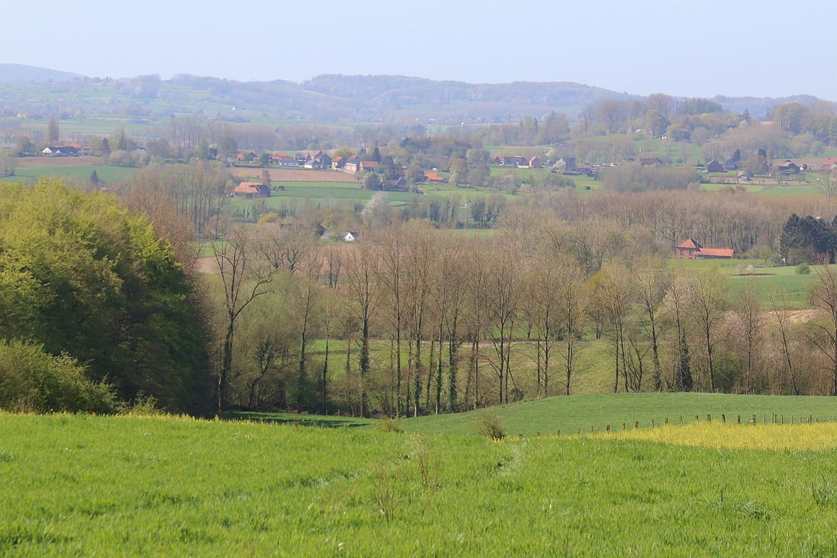 Arrière-plan