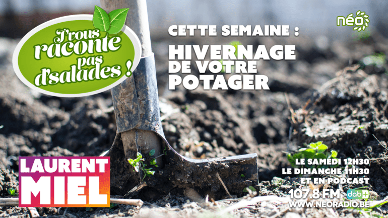 hivernage potager